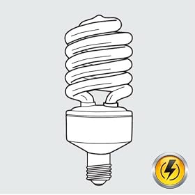 TCP 29069 28942 51K 42W 10M SPRINGLAMP Twist Screw Base Compact Fluorescent Light Bulb by Tcp