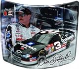 Dale Earnhardt Racing Hood