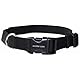 1-Inch Nylon Quick Snap Collar, Black