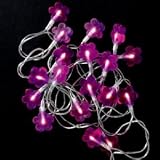 Kitchen & Housewares : Fairy Lights - Pop Daisy Lights