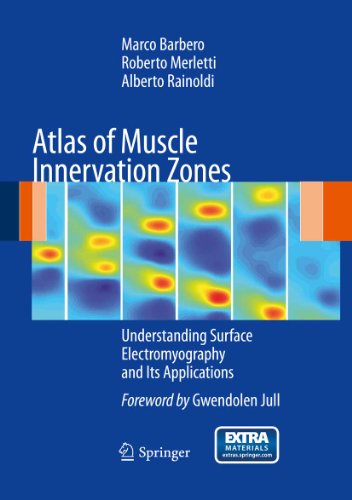 Atlas of Muscle Innervation Zones: Understanding Surface Electromyography and Its Applications On Sale