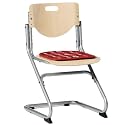 Kettler 06725-017 Chair Plus silber / Buche