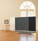 ブライトンネット 薄型TV保護パネル26インチ用クリアタイプ BTV-PP26CL