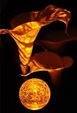 Firefly (Cracked Glass)