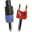 30' Speakon To Banana Speaker Cable