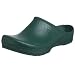 Birki's Classic-Birki Clog,Green, 40 M EU (US Women's 9 M)