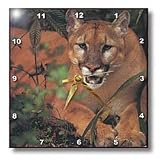 Florida Rare Panther - 10x10 Wall Clock