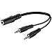0.2m 2x 3.5mm mono Stecker auf 3.5mm stereo Kupplung