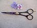 Kretzer 5.5 Hair Unique Shear