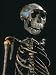 Lake Turkana Boy, National Museums, Nairobi, Kenya Photographic Poster Print by Kenneth Garrett, 12x16