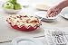 Rose Levy Beranbaum’s Perfect Pie Plate, 9-Inch, Ceramic, Rose
