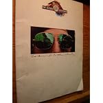 The Doobie Brothers takin' it to the streets book cover