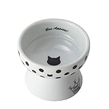 猫壱 おやつ皿 水玉 陶器食器