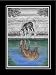 Foal and Horse Water Reflection - Limited Edition Art Print