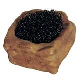 Exo Terra Invertebrate Water Dish w/Foam 41ioVE21woL. SL160 Exo Terra Invertebrate Water Dish w/Foam