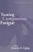 Treating Compassion Fatigue (Brunner/Mazel Psychosocial Stress Series)