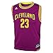 Lebron James Cleveland Cavaliers Youth Replica Jersey