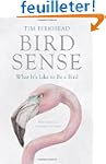 Bird Sense: What It's Like to Be a Bird