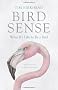 Bird Sense: What it's Like to be a Bird