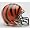 Cincinnati Bengals