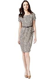 Animal Print Belted Peplum Dress