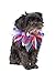 Patriotic Fancy Collar Dog Costume, Small/Medium, Multicolor