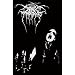 DARKTHRONE, Transilvanian hunger - Flag von Darkthrone - alle Infos