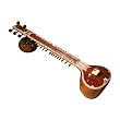 Sitar, Ultra Pro, Decorated, G Rosul