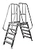 Cotterman 7SPS36A7C1P3 - Crossover Ladder 7 Step Steel 98In. H.