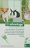 Advantage 40 mg Spot-On Solution for Small Cats, Small Dogs and Pet Rabbits (up tp 4kg)
