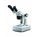 National Optical 416TBL-10 Stereo Microscope with Inclined Head, 10x Eyepiece, 1x and 3x Objective, Fluorescent Bulb Light Source, 10x and 30x Magnification