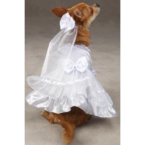 dog bride costume