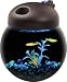 Aquarius AQ10000G 1-Gallon Glow Fish Globe Bowl Aquarium with Full Hood and 12 LED Glofish Lights