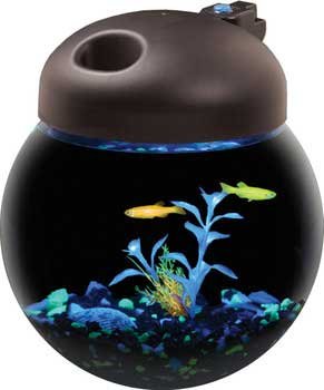 One Gallon Glow Fish Globe Bowl Aquarium with Full Hood &12 LED Glofish Lights