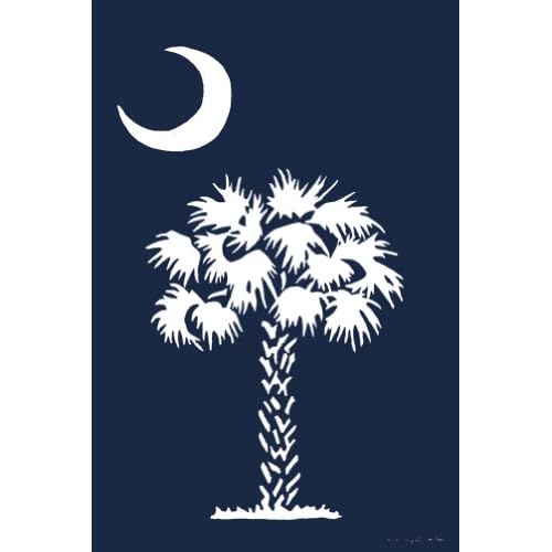 palmetto tree