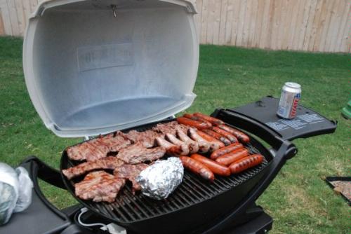 weber q220 grill review