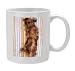 DOG - Miniature long-haired dachshund / Teckel - sunbathing, wi - Official Photo Mug by Ardea