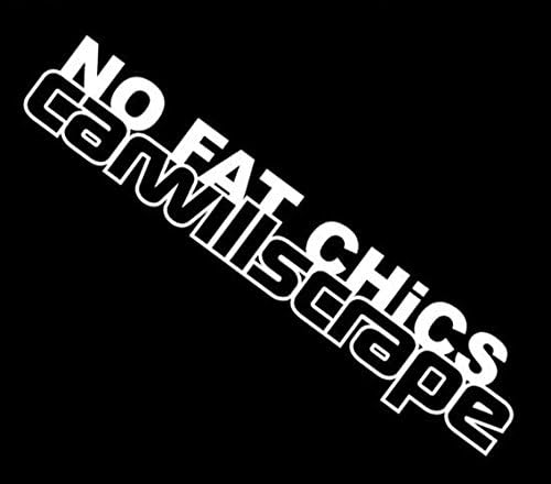 2 Piece WHITE No Fat Chics Car Will Scrape Hellaflush Stance Vinyl Decal Sticker