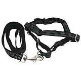 Reflective Easy Walk Harness, Medium/Large, Black