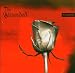 Anklicken zum Vergrößeren: The Wounded - Atlantic (Audio CD)