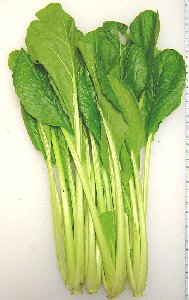 茨城産 小松菜　200g