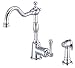 Danze D401157PBV Opulence Single Handle Kitchen Faucet with Side Spray, Polished Brass PBV