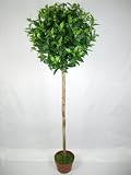 Outdoor Living : Pair of 4.5ft Bay Trees Real Wood trunk ~ artificial tree