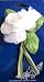 Bridal Elegance Satin Organza Rose Bud