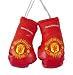 Manchester United Mini Boxing Gloves