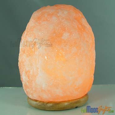 FengShuiLifeStore.com NEW Himalayan Rock Salt Lamp 14~17 Lbs