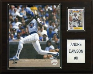 Chicago Cubs Andre Dawson 12