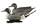 Avery GHG Hunter Series Life Size Pintail Waterfowl Floating Hunting Decoys (6-Pack) | Ultra-Realistic Carvings and Paint Schemes | 60/40 Dura-Keel Design | 4 Drakes, 2 Hens - 73033