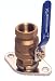 Grundfos Dielectric Ball Valve with Isolation Flange, 3/4 NTP (59 12 03)