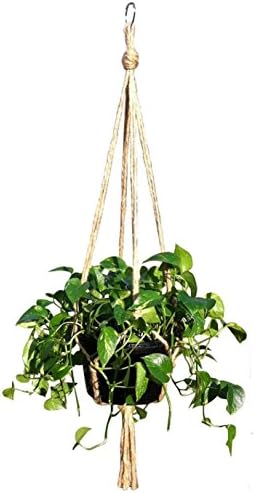 Jute Plant Hanger (1, 24 Inches)